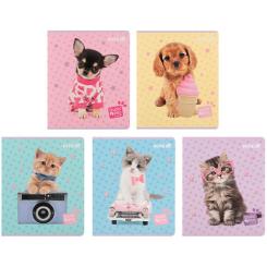 Тетрадь Kite Studio Pets, 24 листа, клетка Фото