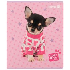 Тетрадь Kite Studio Pets, 24 листа, клетка Фото 2