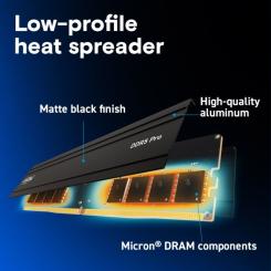 Модуль памяти для компьютера Micron DDR5 64GB 5600 MHz Фото 4