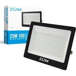 Прожектор Євросвітло ZUM F02-100 4200K Фото