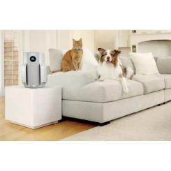 Воздухоочиститель Shark NeverChange5 Air Purifier Фото 2