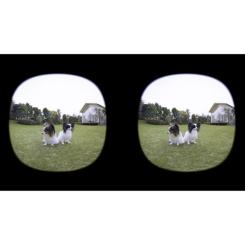 Объектив Canon RF 3.9mm f/3.5 Dual Fisheye Фото 8