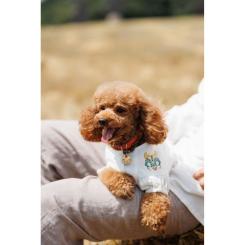 Футболка для животных Pet Fashion Maryana XS Фото 9
