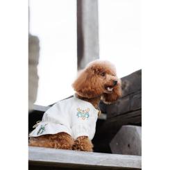Футболка для животных Pet Fashion Maryana XS Фото 8