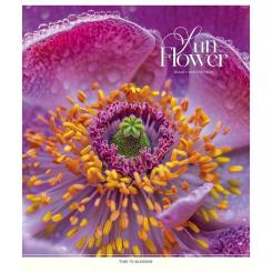 Тетрадь Школярик Sun Flower 48 аркушів клітинка Фото 2