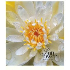 Тетрадь Школярик Sun Flower 48 аркушів клітинка Фото 3