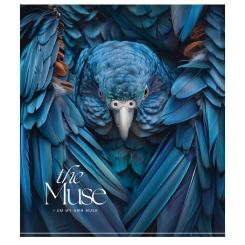 Тетрадь Школярик THE MUSE 48 аркушів лінія Фото