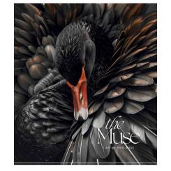 Тетрадь Школярик THE MUSE 48 аркушів лінія Фото 2