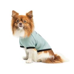 Футболка для животных Pet Fashion Oscar L голубая Фото 2