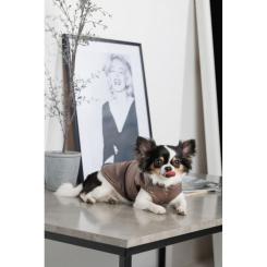 Жилет для животных Pet Fashion Hardy М Фото 6