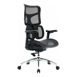 Офисное кресло Sihoo DORO S100 Mesh Black Фото