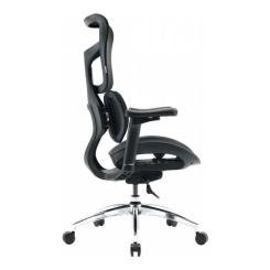 Офисное кресло Sihoo DORO S100 Mesh Black Фото 3