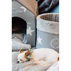 Ошейник для животных Chloe's Home Багами темно-синій S Фото 1