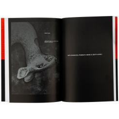Комикс Varvar Publishing Шило. Том 1 - Чхве Ґюсок Фото 5