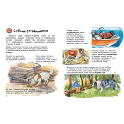 Книга Ранок Собаки. Енциклопедія дошкільника - Юлія Каспарова Фото 4