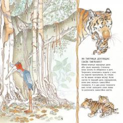 Книга Ранок Тигреня Сілія - Даніела де Лука Фото 6