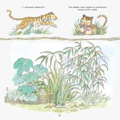 Книга Ранок Тигреня Сілія - Даніела де Лука Фото 8