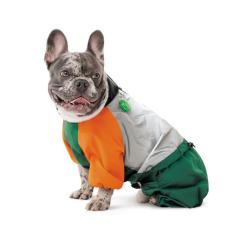 Дождевик для животных Pet Fashion Marlie S2 (такса) Фото 3