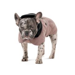 Попона для животных Pet Fashion Max S (такса) Фото 1