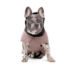 Попона для животных Pet Fashion Max S (такса) Фото 2