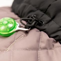 Попона для животных Pet Fashion Max S (такса) Фото 5