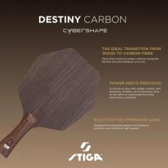 Основание для ракетки Stiga Destiny Carbon Cybershape Master (1600-2602-35) Фото 4