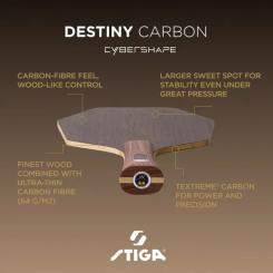 Основание для ракетки Stiga Destiny Carbon Cybershape Master (1600-2602-35) Фото 5