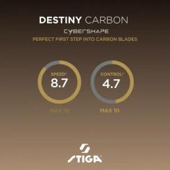 Основание для ракетки Stiga Destiny Carbon Cybershape Master (1600-2602-35) Фото 6