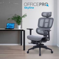 Офисное кресло OfficePro Skyline OC750-B-DG-DG Фото 6