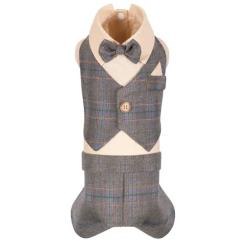 Костюм для животных Pet Fashion Happy S Фото