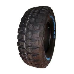 Шина Kapsen 235/65R17 109/105Q RS25 Фото