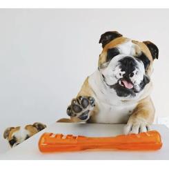 Игрушка для собак Bionic Гантель оранжевая 22 см Фото 3