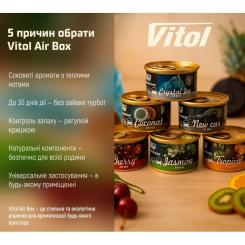 Ароматизатор для автомобиля VITOL Air Box Cherry Фото 5