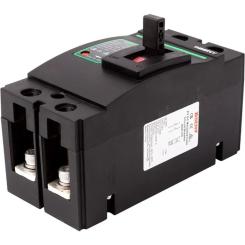 Автоматический выключатель BENY 2P, 250A, 500VDC Фото 1