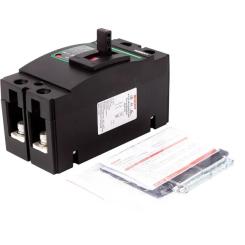 Автоматический выключатель BENY 2P, 250A, 500VDC Фото 3