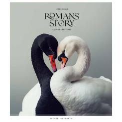 Тетрадь Школярик Romance stories 48 аркушів лінія Фото 2