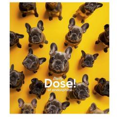 Тетрадь Школярик Star Endorphins 60 аркушів клітинка Фото