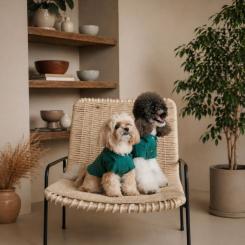 Футболка для животных Pet Fashion Seaman М Фото 4