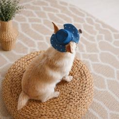 Кепка для животных Pet Fashion Stars М Фото 5