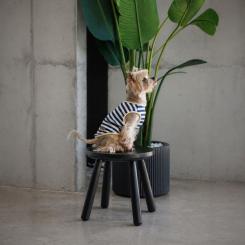 Футболка для животных Pet Fashion Tropic XХS Фото 4