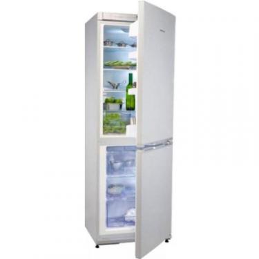 Холодильник Snaige RF31SM-S10021 Фото