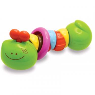 Развивающая игрушка Bkids Разноцветная гусеничка Фото