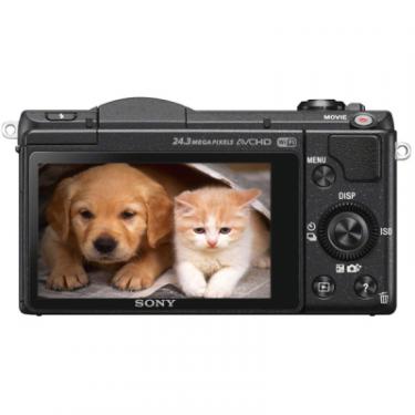 Цифровой фотоаппарат Sony Alpha 5100 kit 16-50 Black Фото 3