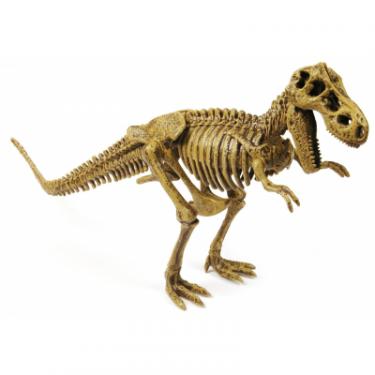 Игровой набор Geoworld Юный палеонтолог: Ти-Рекс и Саблезубый тигр Фото 2