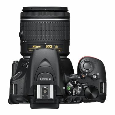 Цифровой фотоаппарат Nikon D5600 AF-P 18-55 VR Kit Фото 4