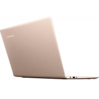 Ноутбук Lenovo IdeaPad 710S Фото 6