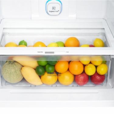 Холодильник LG GN-H702HMHZ Фото 6