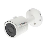 Камера видеонаблюдения Tecsar AHDW-25F1M-eco Фото