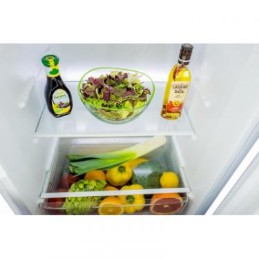 Холодильник Nord T 275 Фото 6