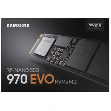 Накопитель SSD Samsung M.2 2280 250GB Фото 4